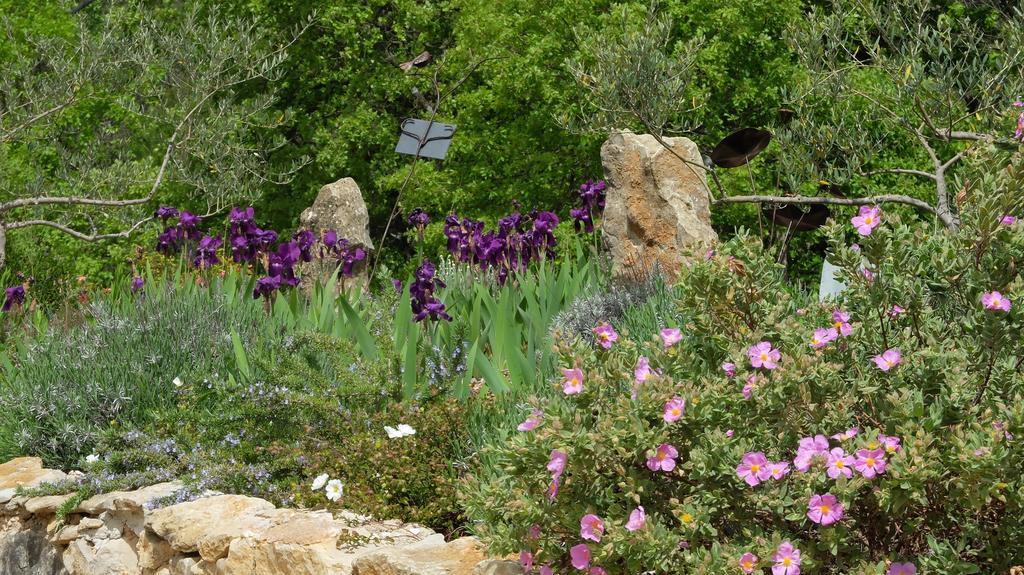Les Hauts Des Materonnes Tourves Ngoại thất bức ảnh